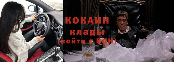 ПСИЛОЦИБИНОВЫЕ ГРИБЫ Козловка