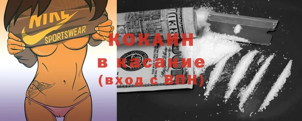 ПСИЛОЦИБИНОВЫЕ ГРИБЫ Козловка