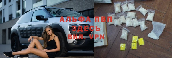 трава Козельск
