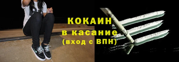 ПСИЛОЦИБИНОВЫЕ ГРИБЫ Козловка