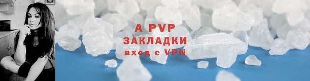 мяу мяу мука Кодинск